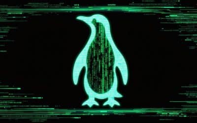Remote IT Support for Linux